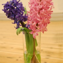 A 2nd - Hyacinths - Pam Stanley