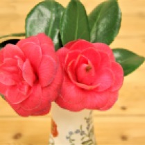 A 3rd - Camellias - Carolann Young